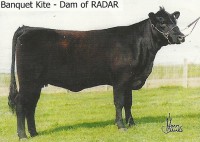 Dam of Radar